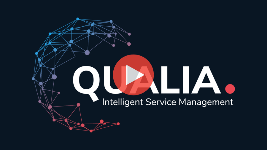 Qualia video image